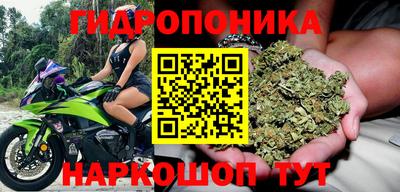 мдма Кингисепп