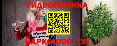 спиды Кинель