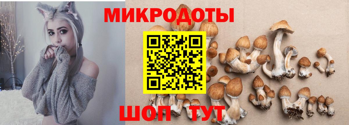 Кохма  Галлюциногенные грибы Magic Shrooms  Галлюциногенные грибы прущие грибы  Вход с VPN 